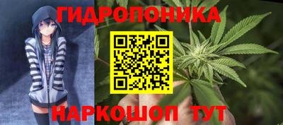 не бодяженный Владимир