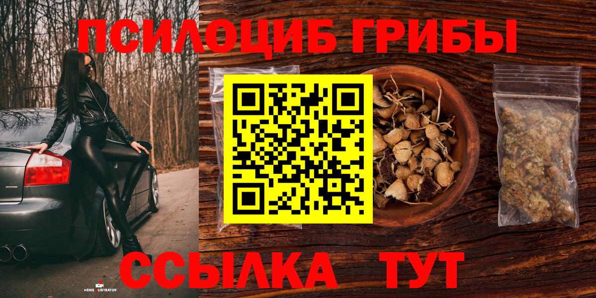 Псилоцибиновые грибы мицелий  цены наркотик  Псилоцибиновые грибы Psilocybine cubensis  Ачхой-Мартан  Вход с VPN 
